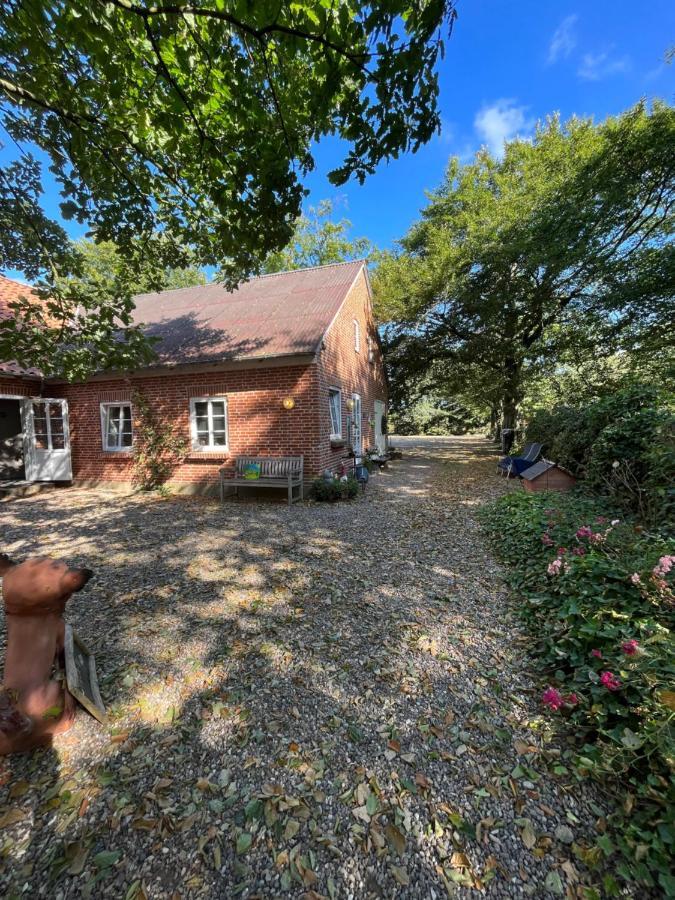 Familiehuis Boysen Bed&Breakfast Ribe Dış mekan fotoğraf